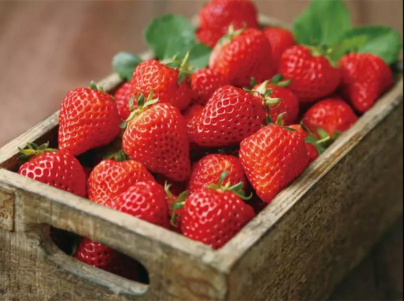 大连草莓有哪些,大连草莓哪家新鲜