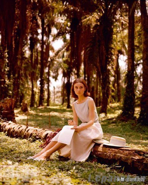 英语课堂用语大全视频,英语课堂用语的活用