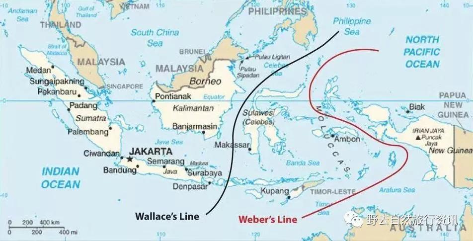 希望疫情早点结束能陪孩子多走走,待疫情彻底过去