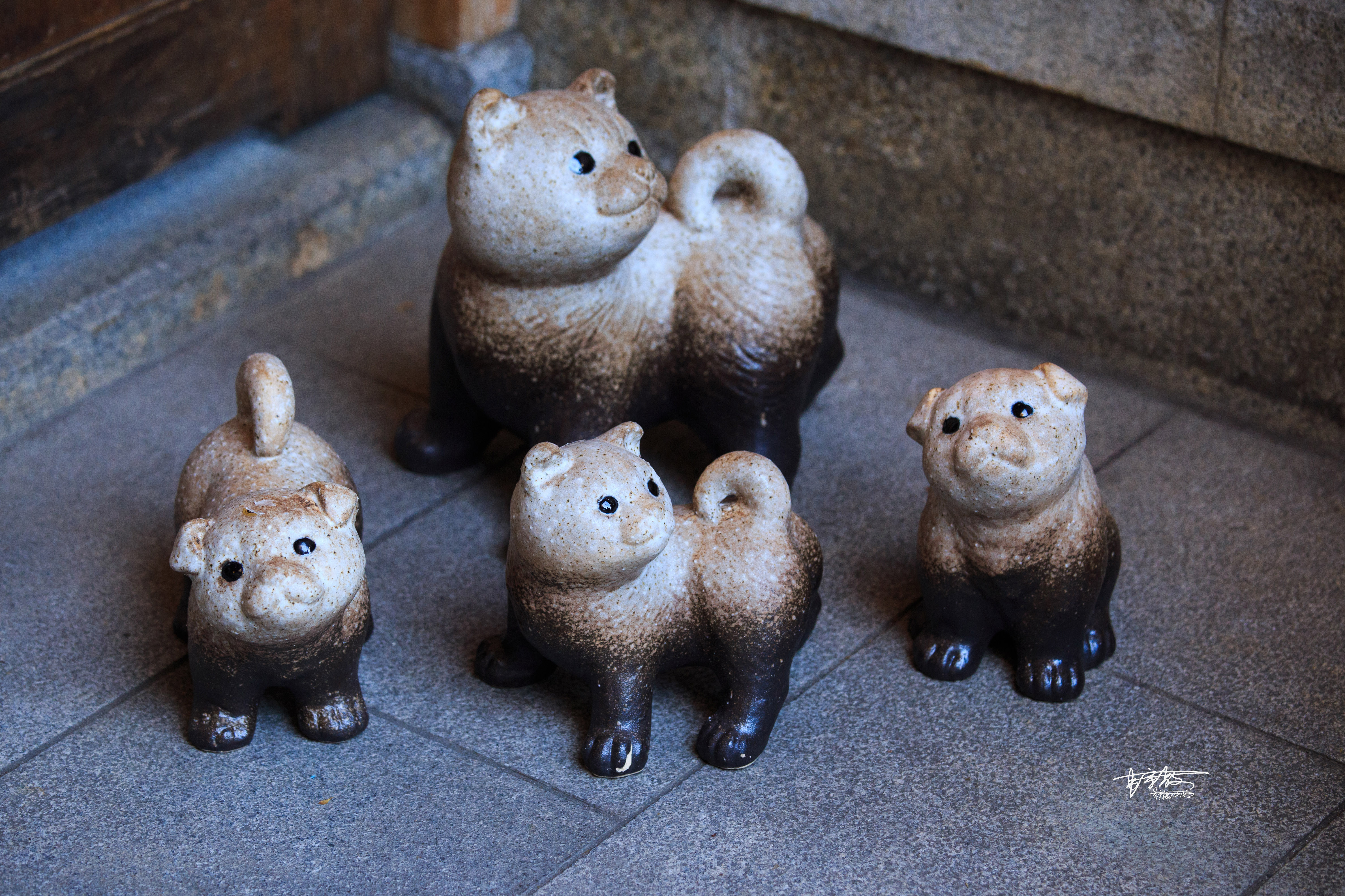 八坂神社和清水寺有何不同,伏见稻田清水寺八坂神社