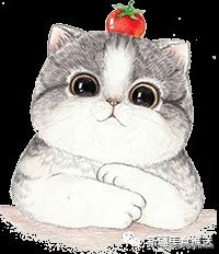 南北疆餐饮厨师求职招聘,新疆餐饮合伙人招聘