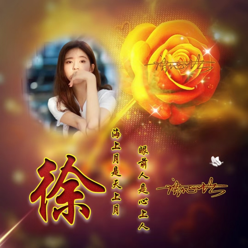 粉色玫瑰花头像照片唯美女生,姓氏微信头像超萌唯美黄