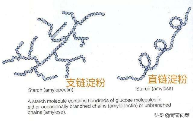 脱糖电饭煲真的降糖吗,脱糖降糖电饭煲