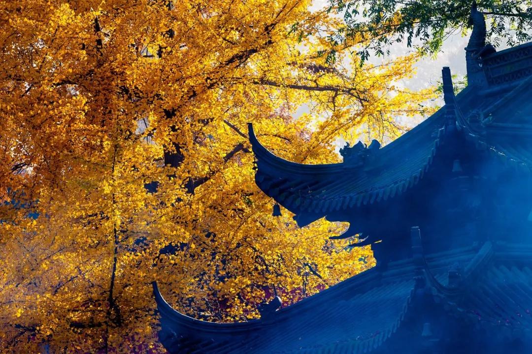 关于长安地名诗句,古代长安城古风诗句有哪些