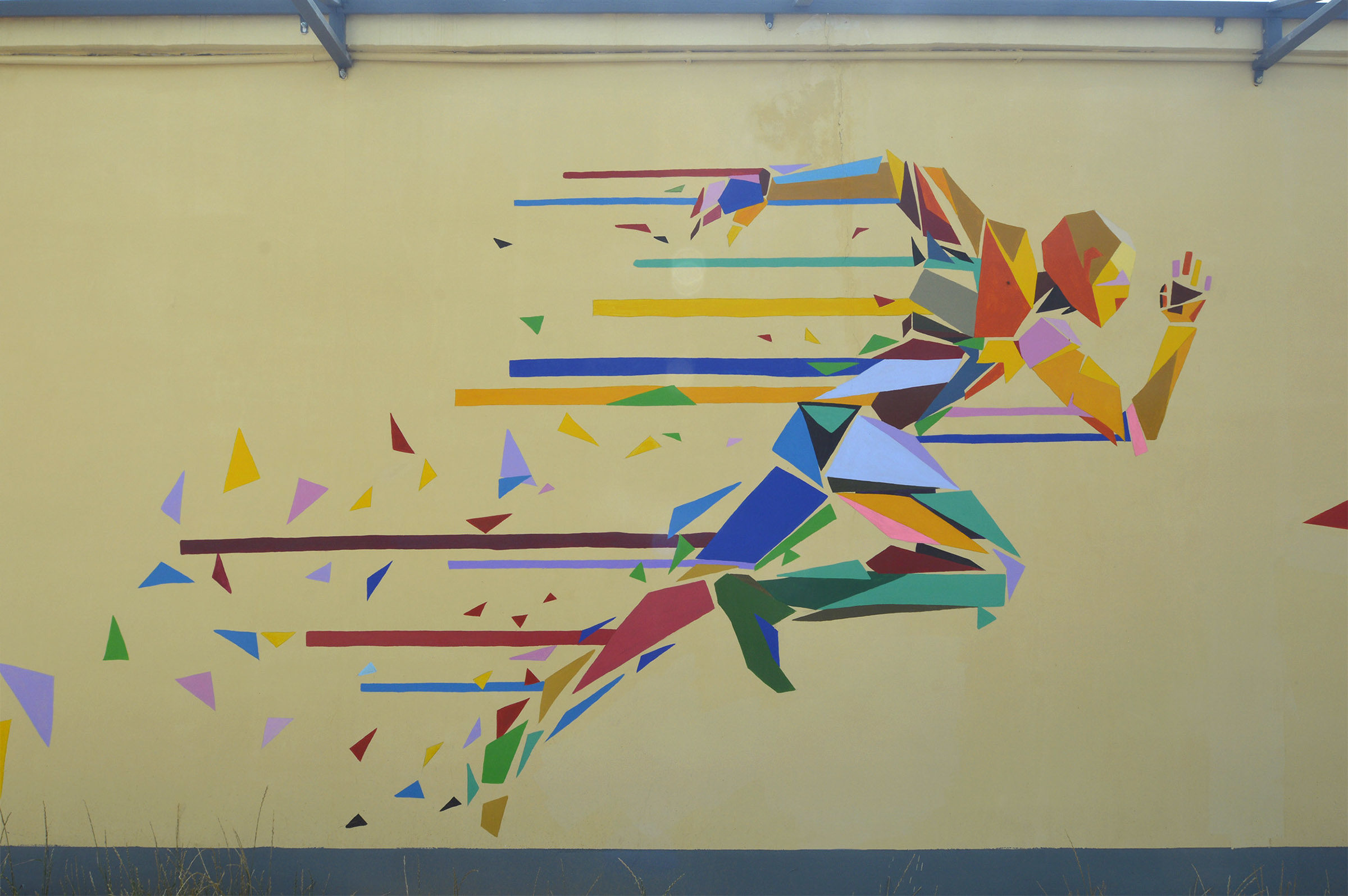 运动改造大脑免费阅读,运动改造大脑