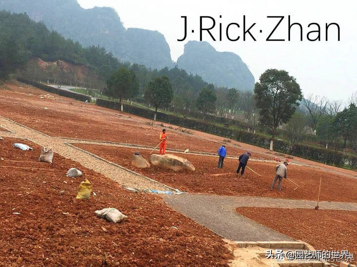 高尔夫果岭草坪家庭院子种植,麦冬草坪种植方法和注意事项