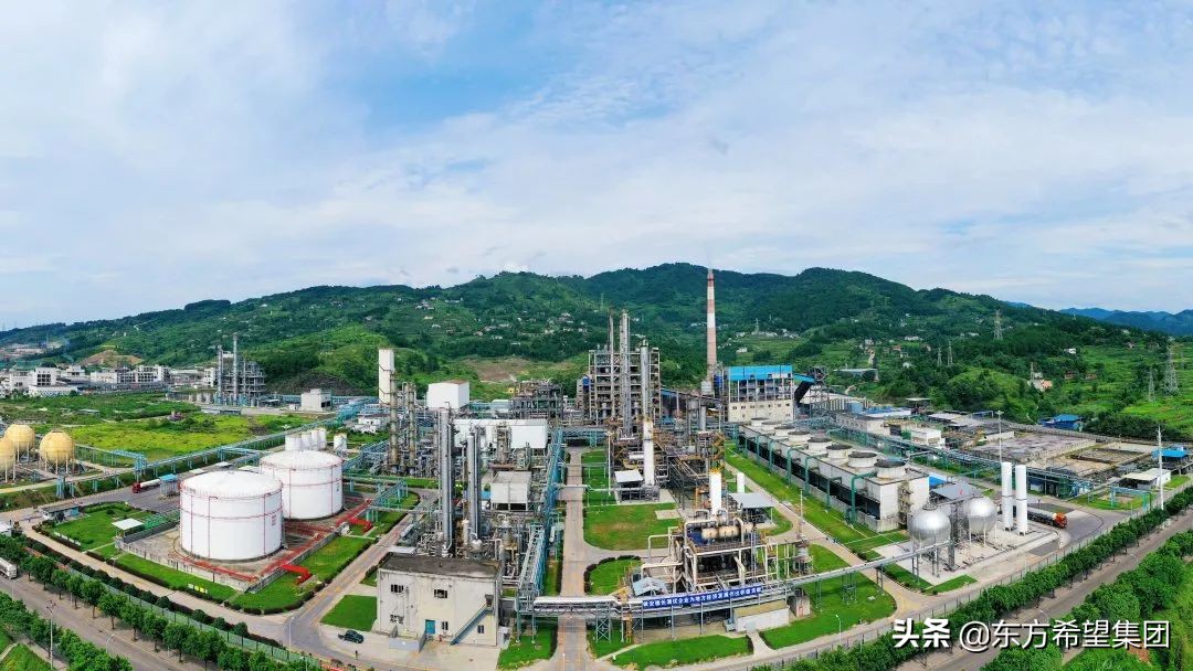 又获奖啦！东方希望集团荣获2021年“上海市五一劳动奖状”