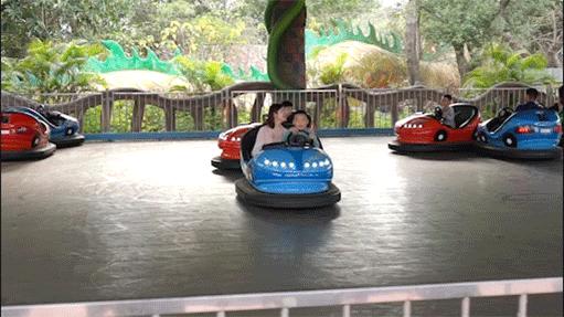 赏花海+机动游戏任玩+VR体验、5D电影等！还有财神爷派利是！