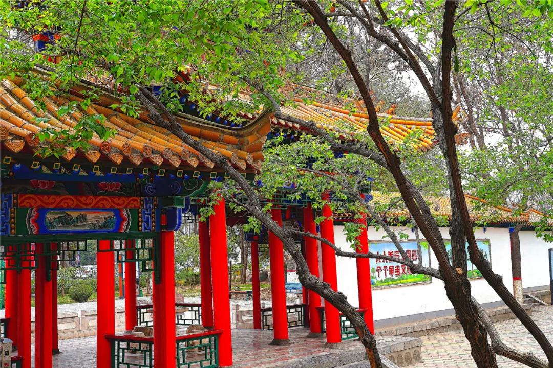 宁夏银川街心公园,银川兴庆区宁园门票多少