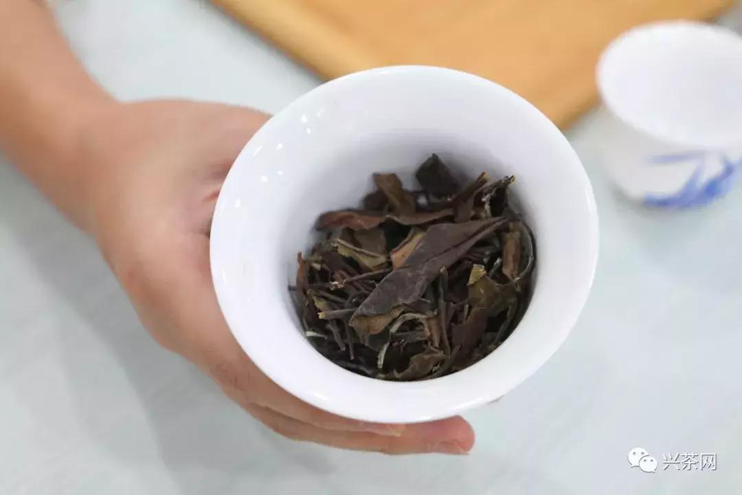 新手开茶叶店的介绍视频,新手开茶叶店进货渠道