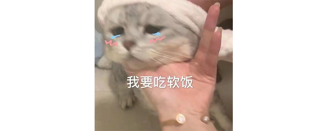 我啃老，摸鱼，伴富婆，治好了多年的内卷