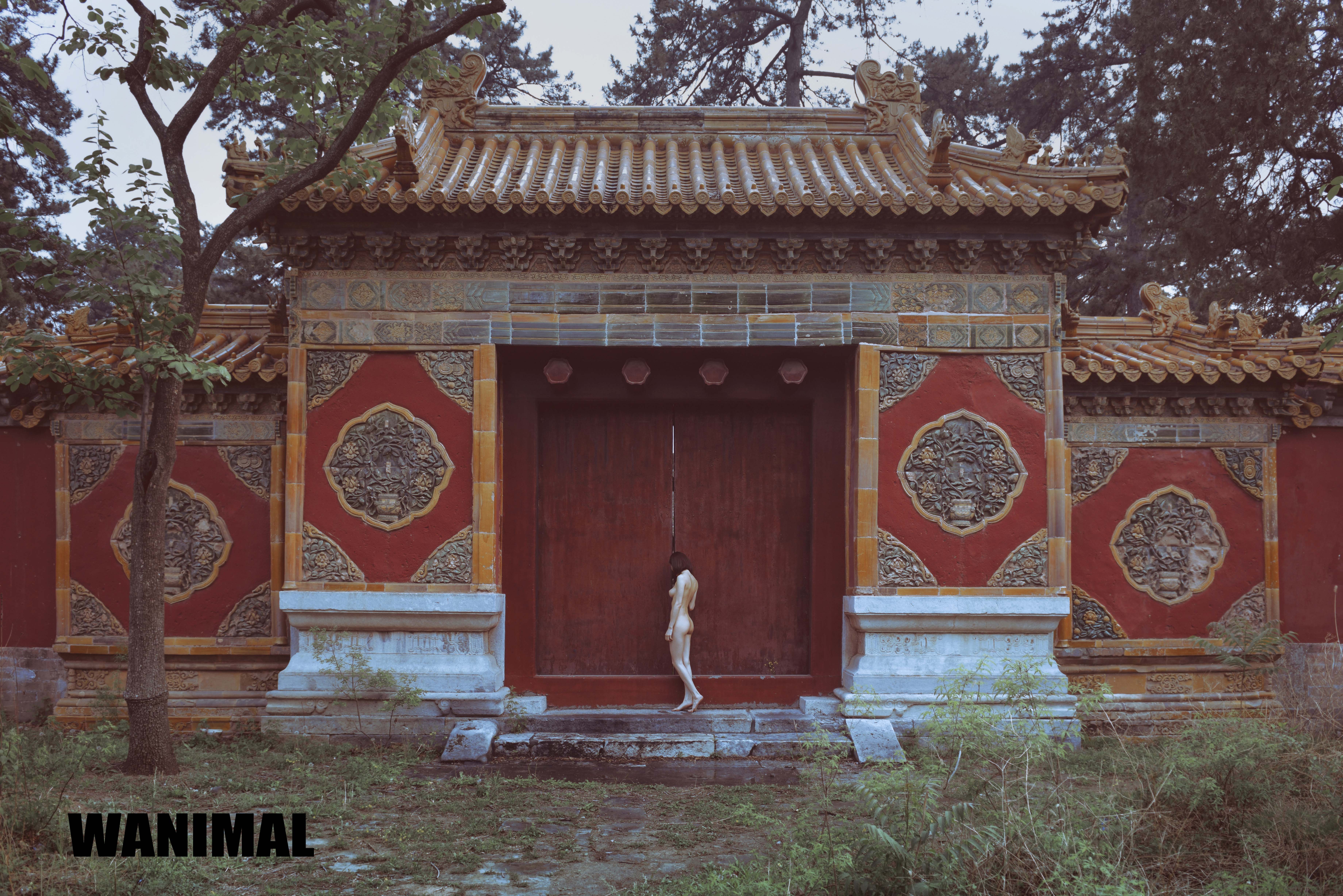 古建筑屋顶图片大全,古建筑屋顶小瓦做法