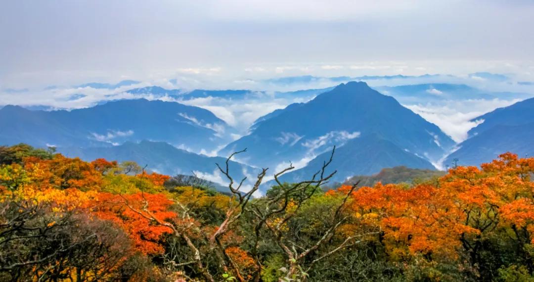 重庆旅游十大攻略自驾游,重庆周边城市三日自驾游最佳攻略