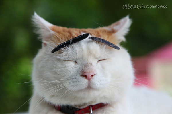 金融开放将迎更多利好,金融开放力度持续加大