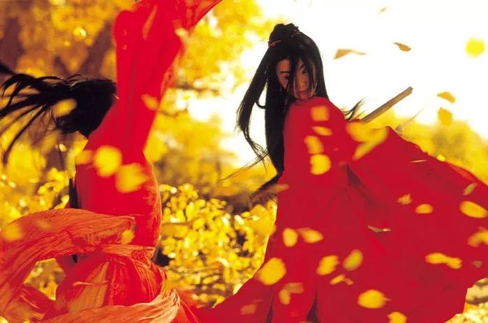 额济纳胡杨林自驾游详细攻略,宝鸡自驾往额济纳胡杨林攻略