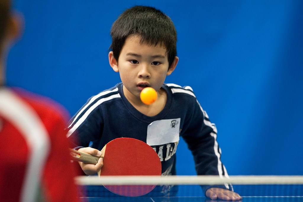 橡胶球为什么能弹起来,橡胶球为什么有弹性