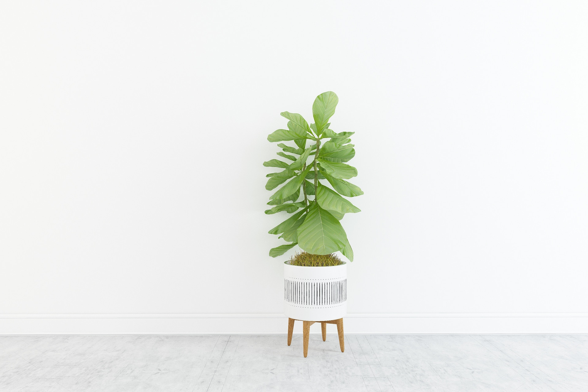 成大事之人必经人生之苦,不经历人生低谷怎么懂得人情世故