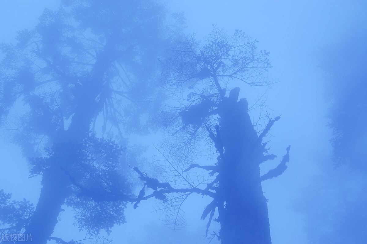 中国10大恐怖禁地,中国10大恐怖禁地探险