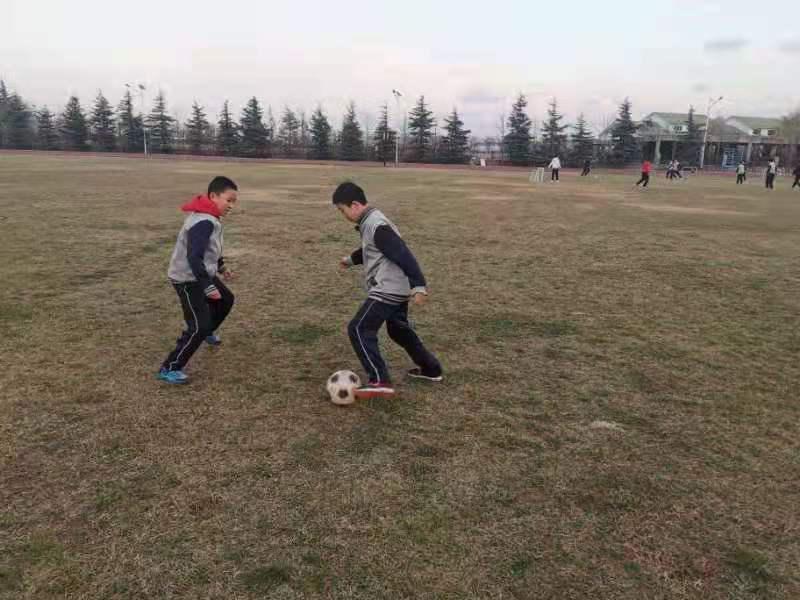 崂山八中研学,崂山八中2017