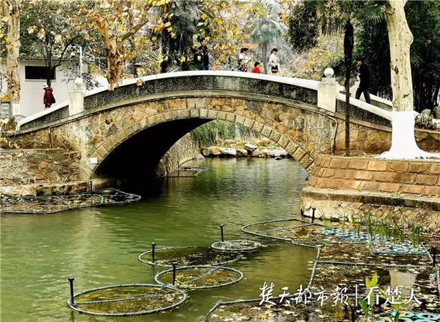 武汉惠民福利,武汉地铁补贴最新消息