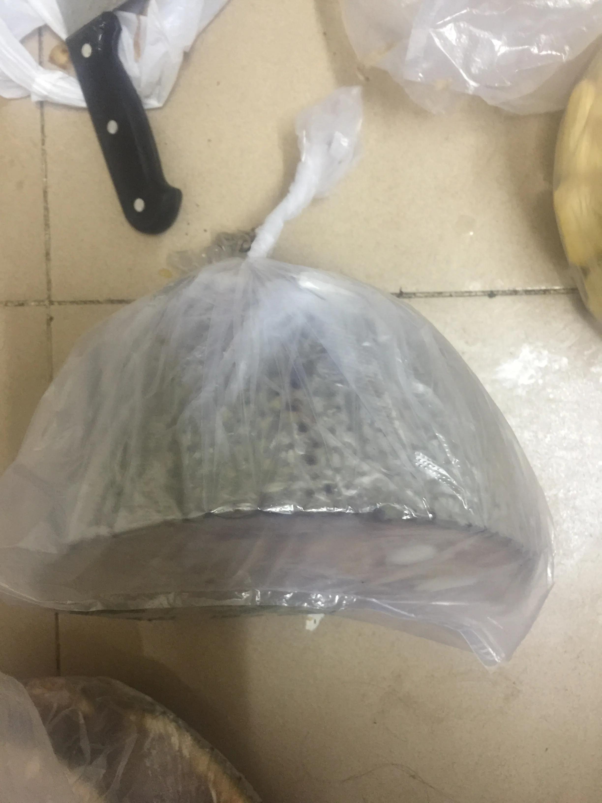 菠萝蜜开剥全过程,菠萝蜜现场开剥标识