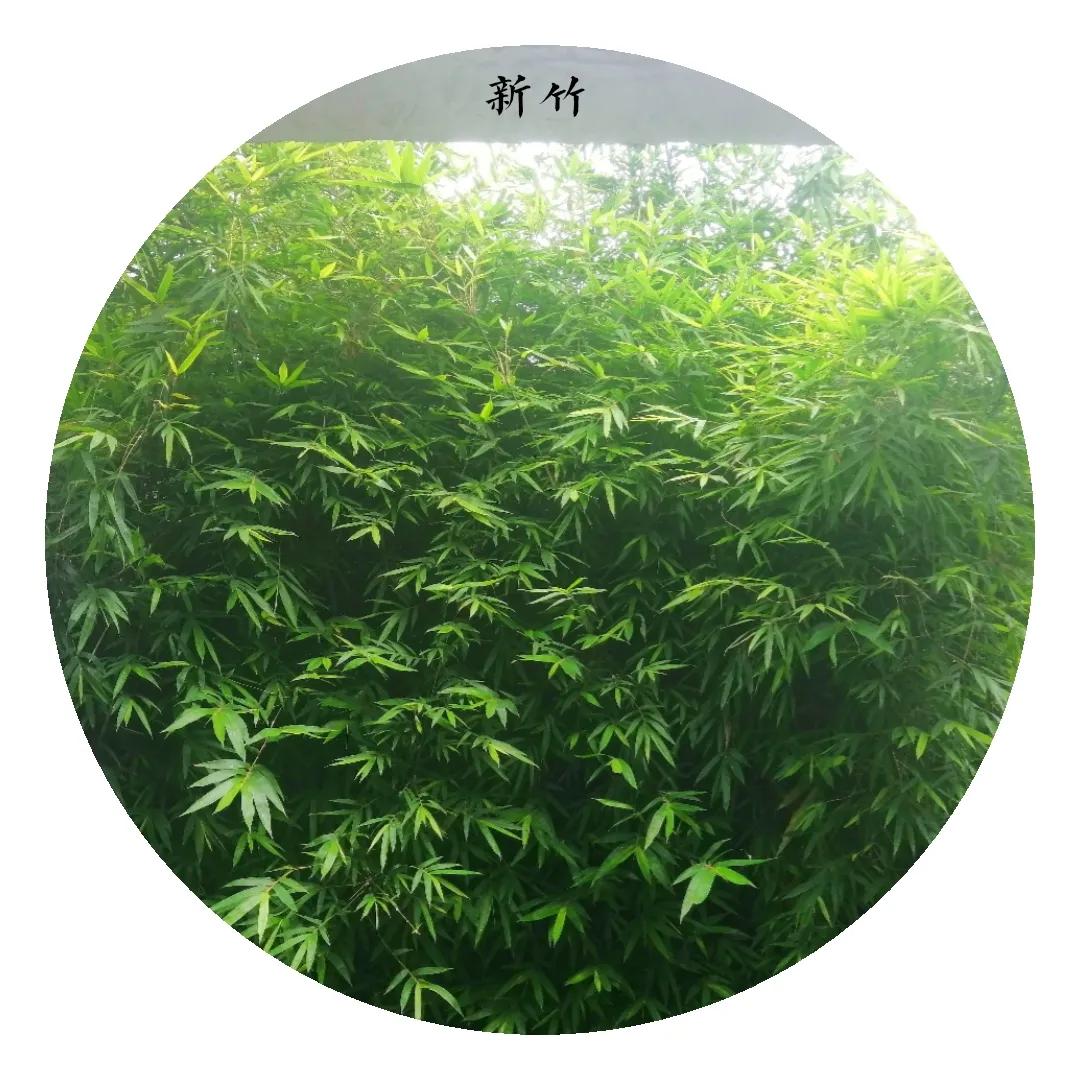 为你画像的人,为你画像助眠