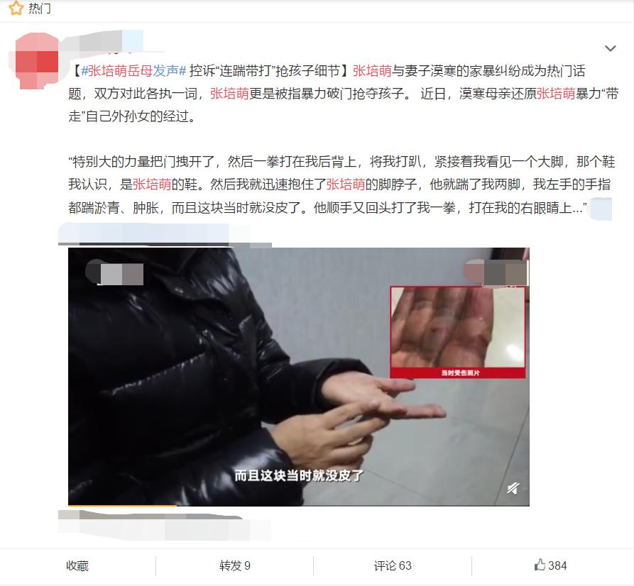 苏炳添说张培萌家暴是真的吗,苏炳添张培萌为什么打岳母