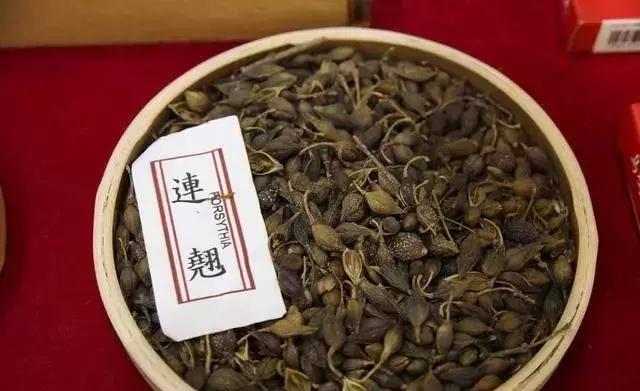 蛋鸡感冒喂什么药最好,产蛋鸡用什么药退烧