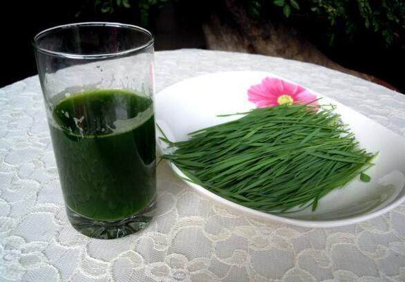 闈掓眮绮夌殑鍔熸晥鍜屽壇浣滅敤,鑻ュ彾闈掓眮鐨勫姛鏁堜笌浣滅敤