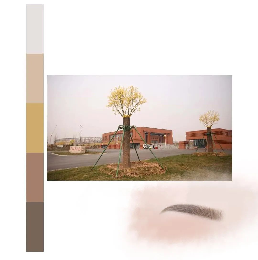 鐩存挱閭兏娌冲寳宸ョ▼澶у,娌冲寳宸ョ▼澶у缇庡