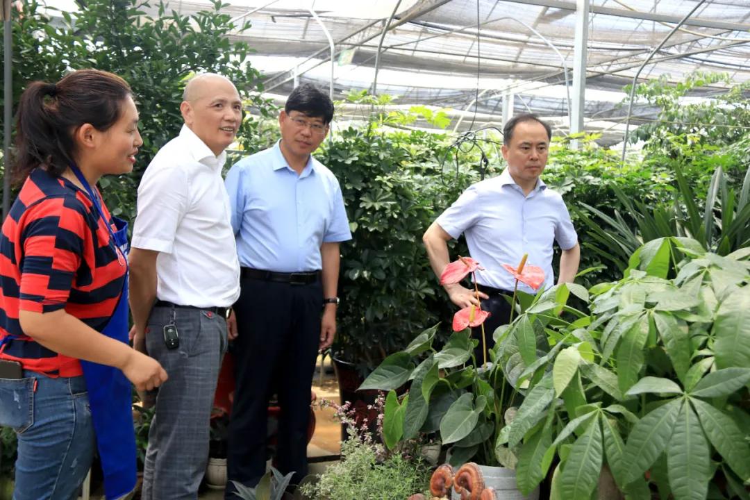 中国沭阳国际花木城在哪个城市,沭阳花木城的发展