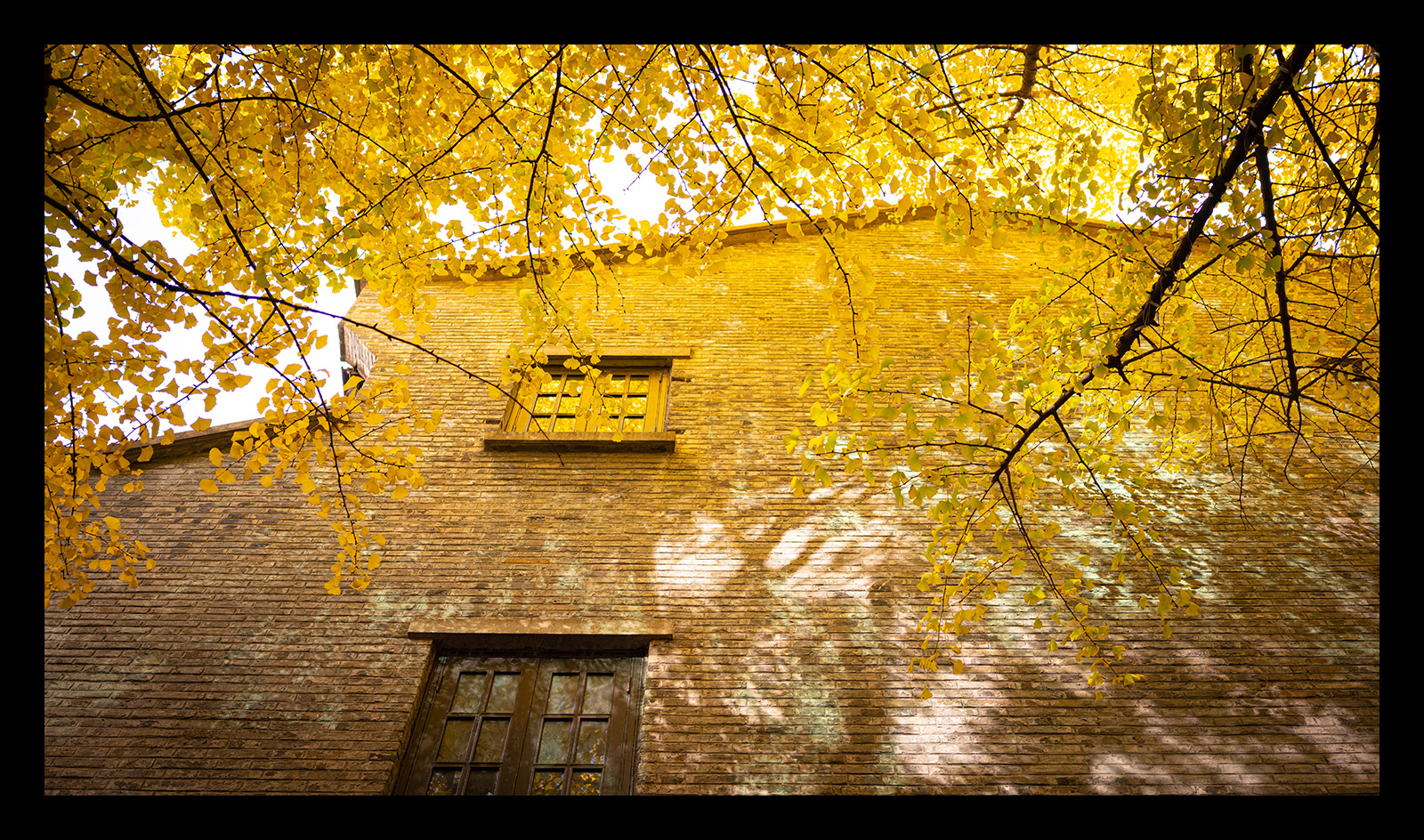 腾龙24mmf2.8全画幅广角微单镜头,腾龙352.8索尼镜头