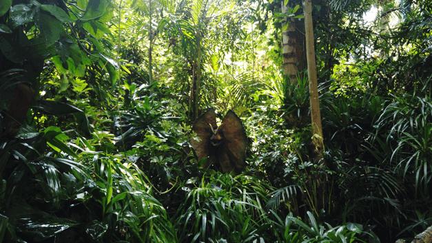 长隆飞鸟乐园怎么去长隆欢乐世界,汉溪长隆地铁站去长隆飞鸟乐园