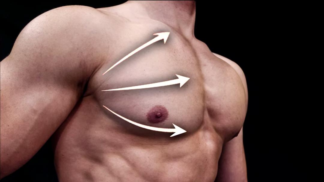 练胸的复合型动作,最简单练胸动作