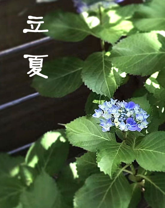 二十四节气立夏ppt课件免费,二十四节气立夏的诗句古诗