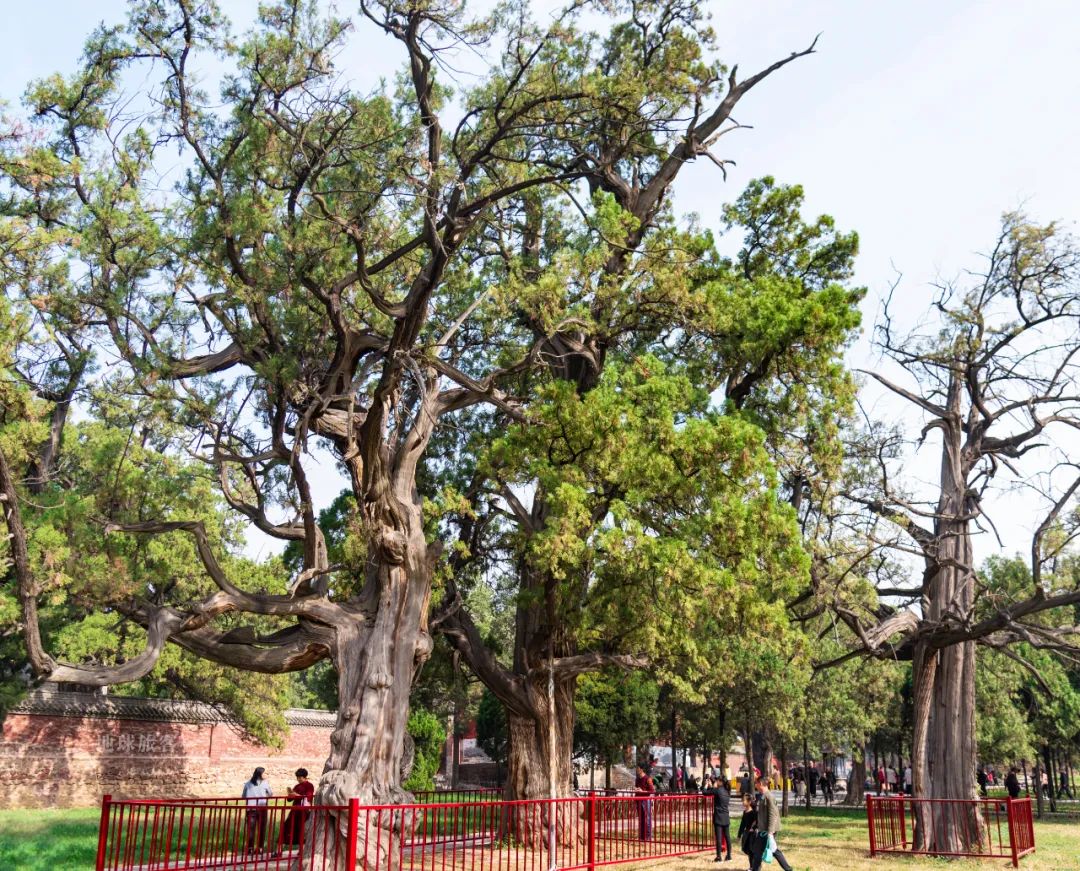 嵩山为什么是第一山,嵩山最有特色的山