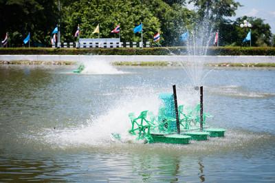 养鱼水质浑浊用什么方法解决,养鱼水质ph偏低怎么办