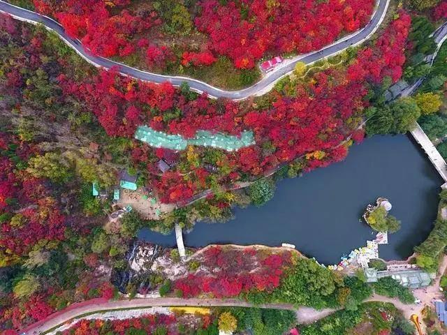 山东免费景区开放最新通知,山东景区门票免费政策有哪些