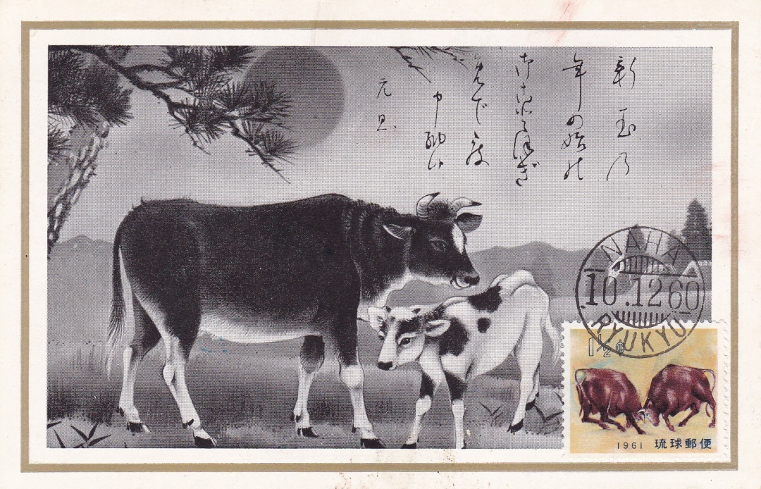 生肖牛视频大全,生肖牛第一期视频