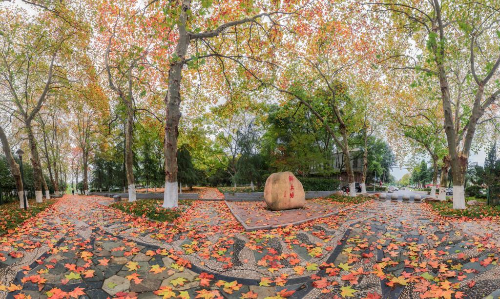 安徽工业大学考研合工大有优势吗,合肥工业大学本科毕业论文好过吗