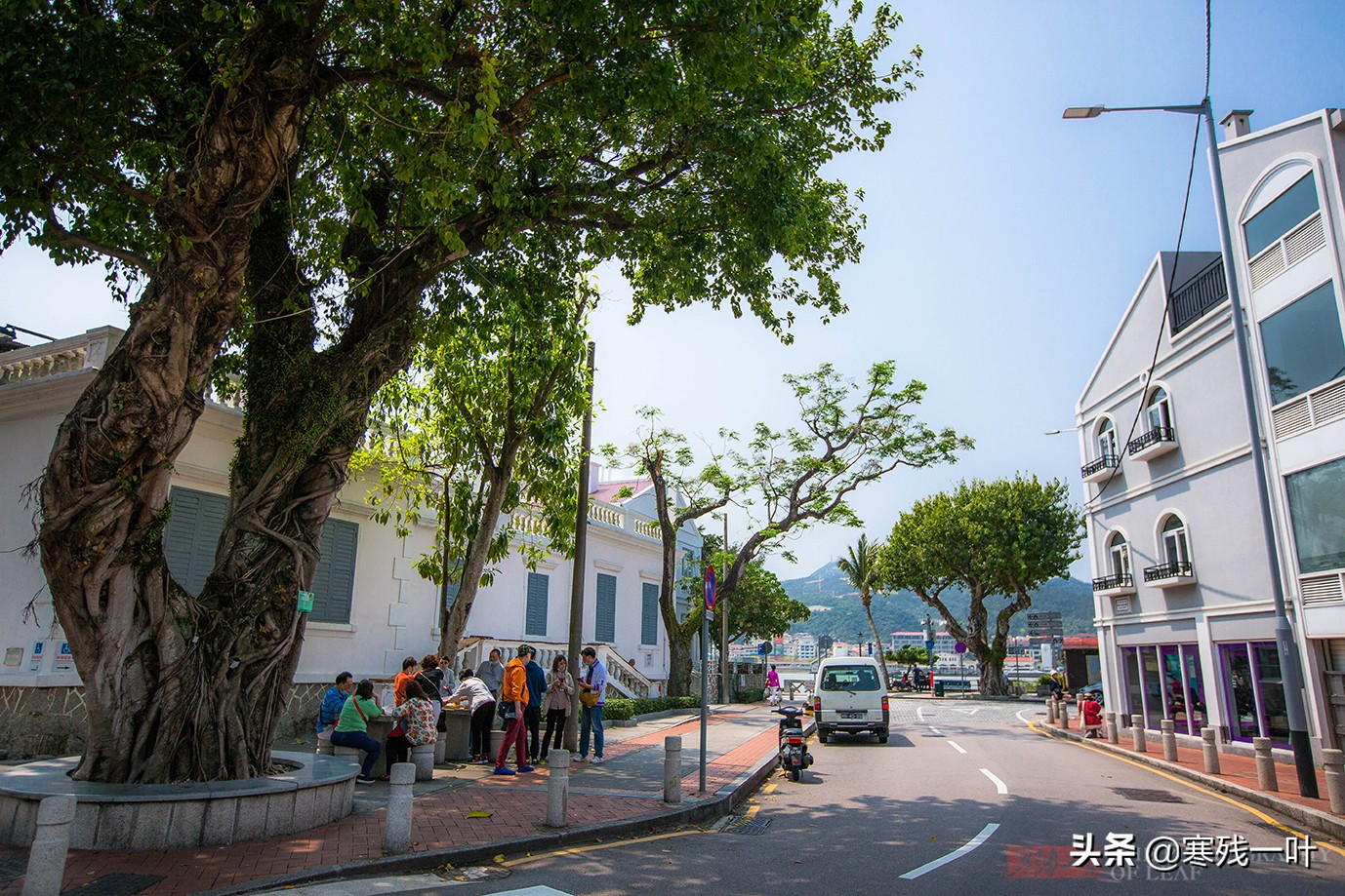 澳门必吃美食葡式蛋挞,最正宗的蛋挞在澳门