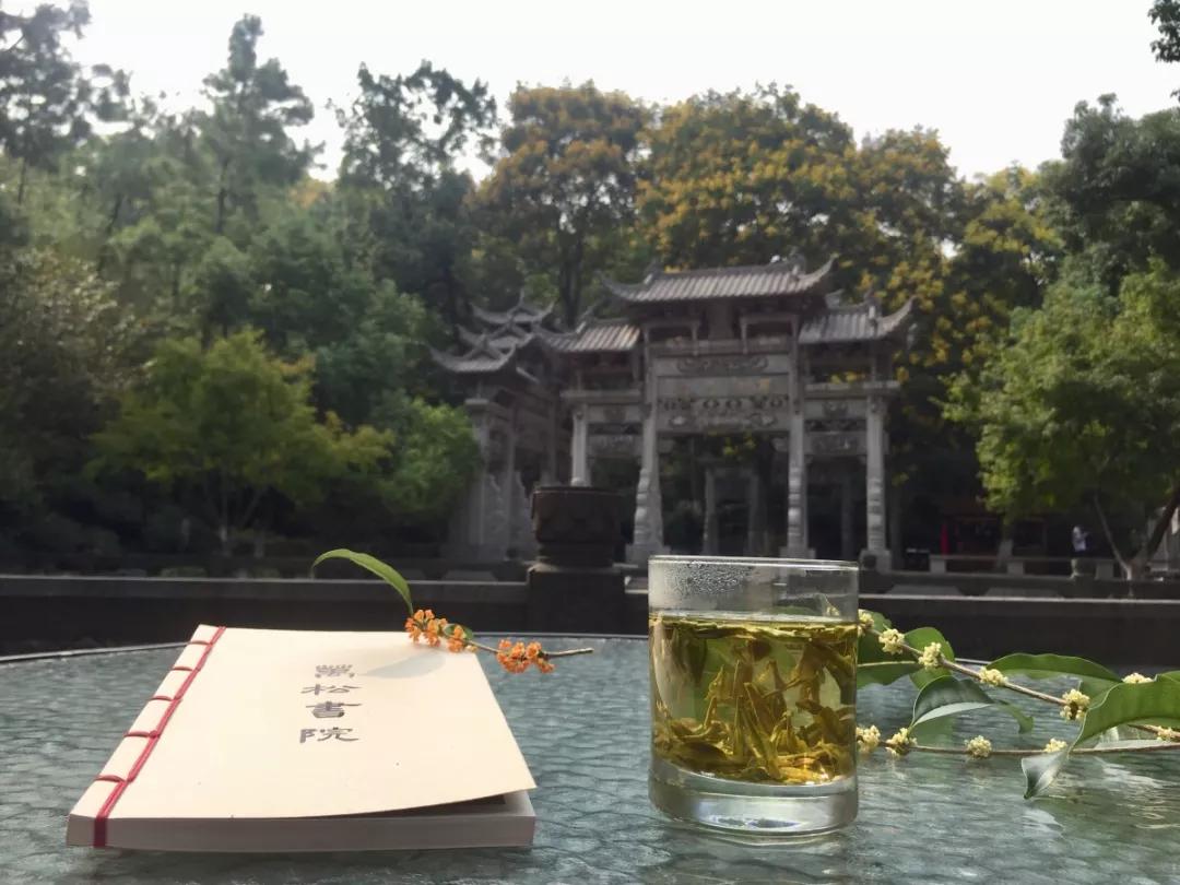 西湖最佳观景地,西湖边的一处幽静之地