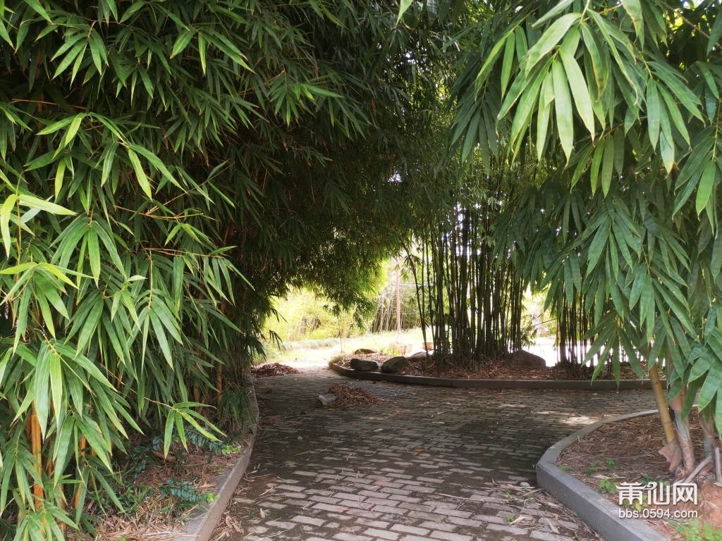 莆田历史名村,福建莆田第一大村