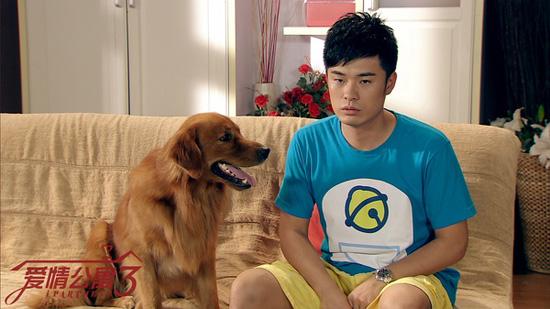 离开七年,许婧为什么和陈赫离婚