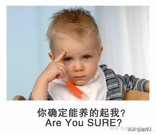 迪拜公民一年多少钱,迪拜土豪要花多少钱养老