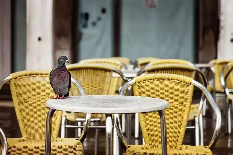 鎴戠殑鏃呮父鎽勫奖缇庡浗娓歌,鎽勫奖浣滃搧鎴戠殑鏃呰