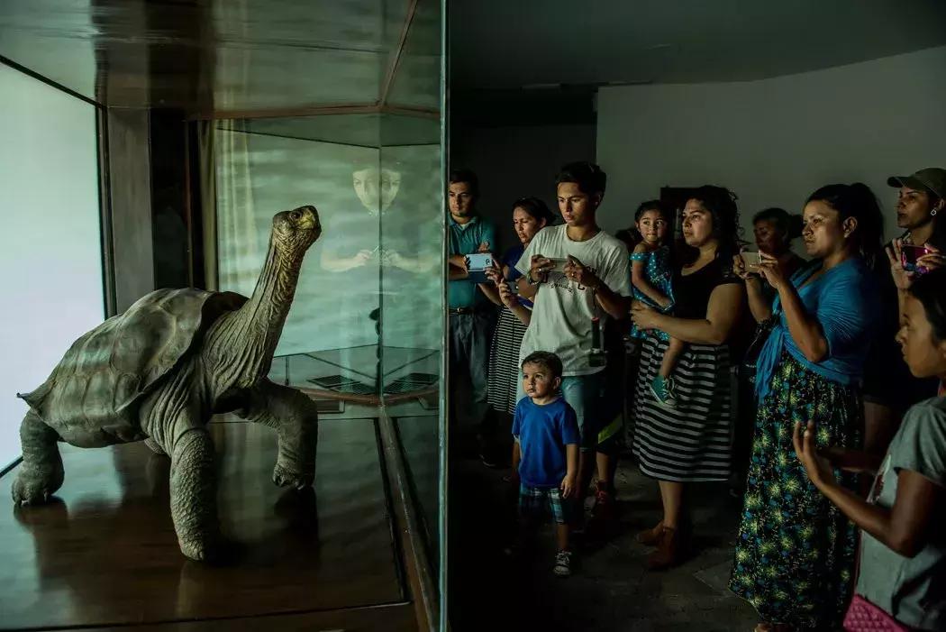 18种最奇葩罐头,关于世界上最好吃的罐头排行榜