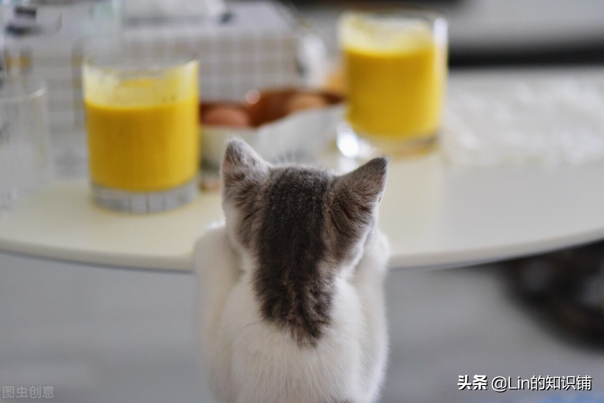 10条有趣的冷知识,很多人不知道的20个趣味冷知识