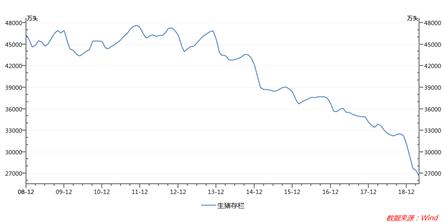 赛马第一名怎么说,赛马第一名和第二名