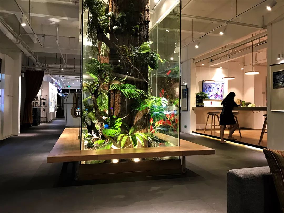 作为一个人资深吃货怎么办,作为吃货的时候该怎么办